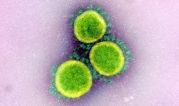 ¡No de nuevo! Universidad de Boston crea una cepa de coronavirus 80 % más letal