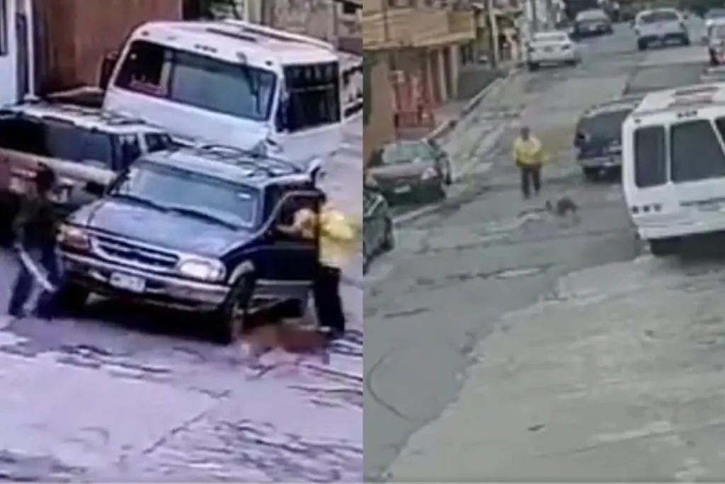 Sujetos intentan atacar a machetazos a perros en Naucalpan #VIDEOS