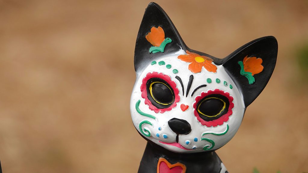 No los olvides: Este 27 de octubre se pone la ofrenda para las mascotas