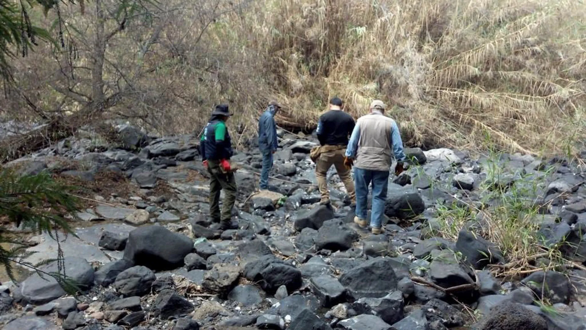 Localizan 41 bolsas con restos humanos en Irapuato