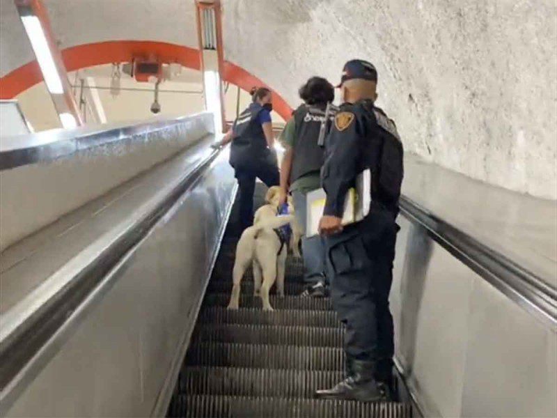 Denuncian desalojo de entrenadores y perros guía en Metro de CDMX