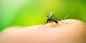 Detectan 77 casos de dengue en Puebla; éstos son los síntomas