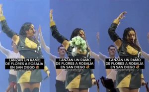Golpean a Rosalía con un ramo de flores durante concierto y así reaccionó #VIDEO