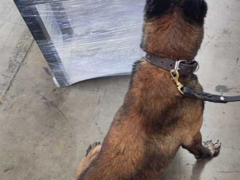 Hallan más de 2 mil pastillas de fentanilo ocultas en una mesa en Culiacán