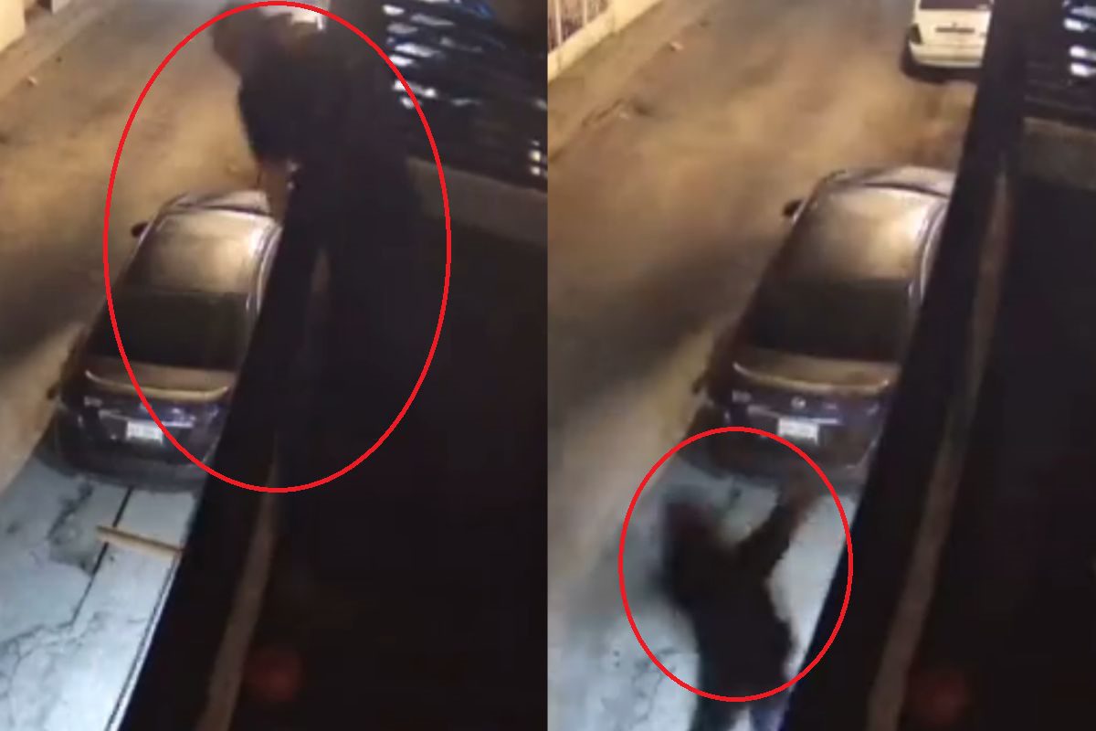 Perritos en Saltillo frustran intento de robo a su casa