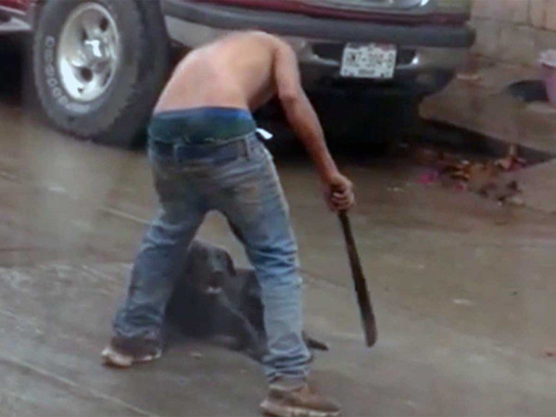 Sujeto ataca con un machete a un perrito en Hidalgo