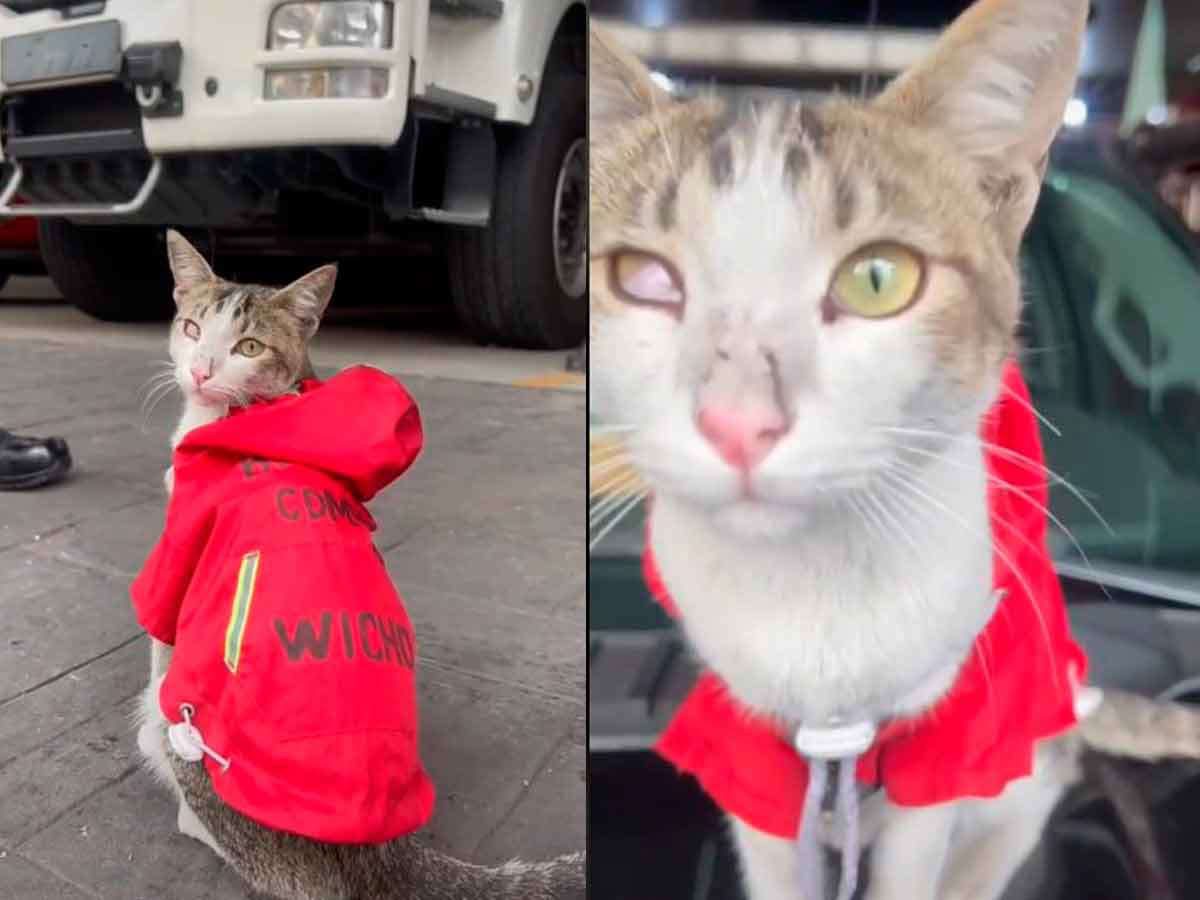 'Wicho', el nuevo elemento de Bomberos CDMX