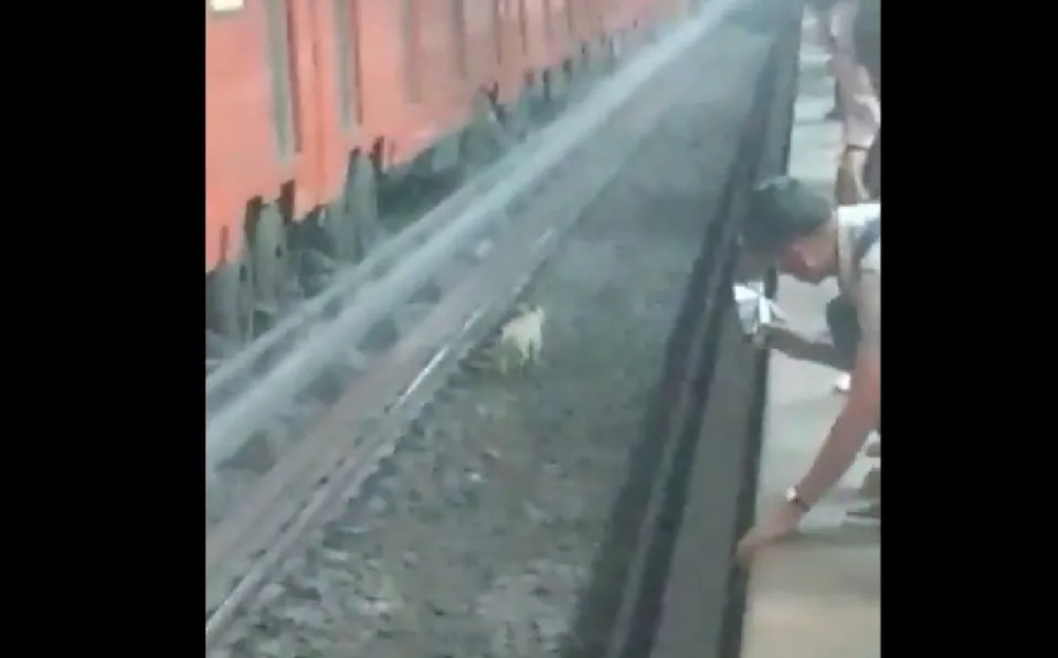 Perrito casi es atropellado por convoy del Metro en la Línea B #VIDEO