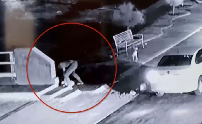 Funcionario público agrede hasta la muerte a perrito en calles de Jalisco