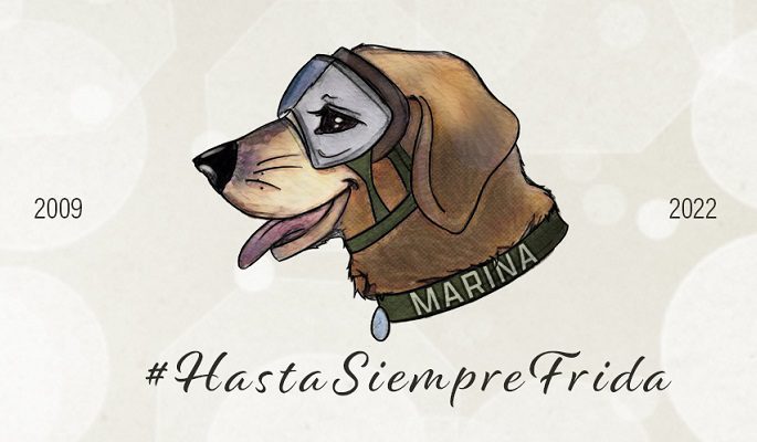 Perrita Frida recibirá homenaje durante desfile de la Revolución en CDMX