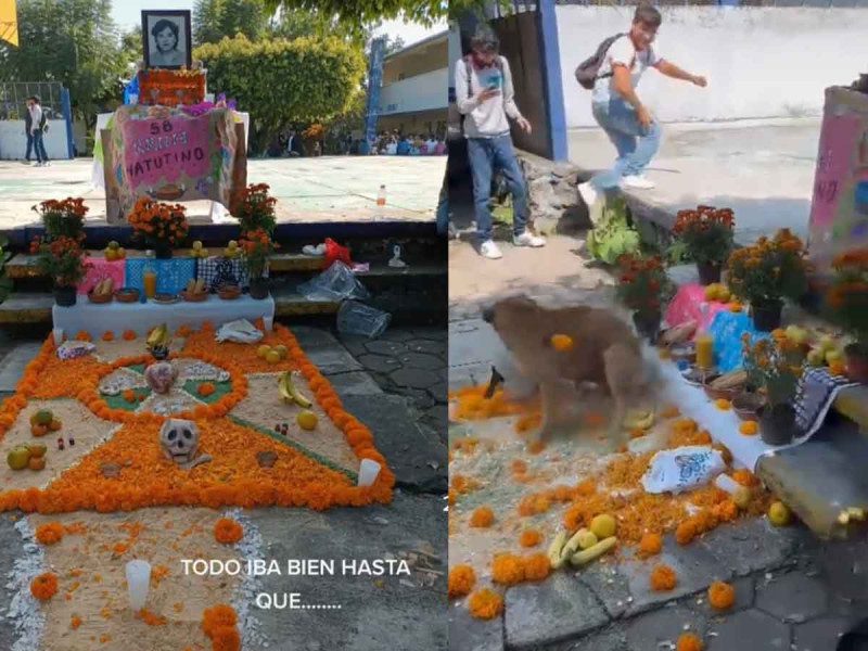 ¡Chilaquil! Perritos se pelean y estropean ofrenda de Día de Muertos en escuela #VIDEO