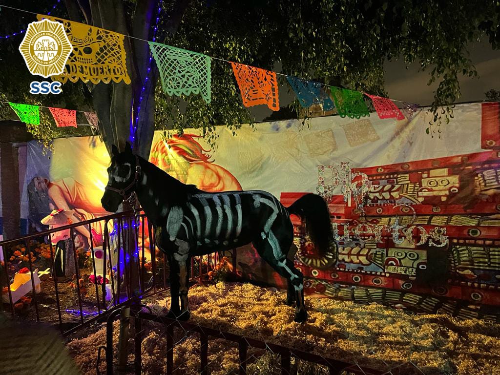 Panteones de CDMX registran visita de 89 mil en Día de Muertos