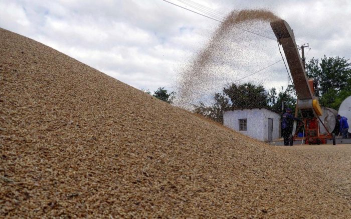Rusia reactiva las exportaciones de cereales desde Ucrania