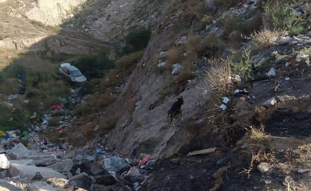 Abandonan tres cuerpos en un tiradero de SLP, entre ellos el de un menor