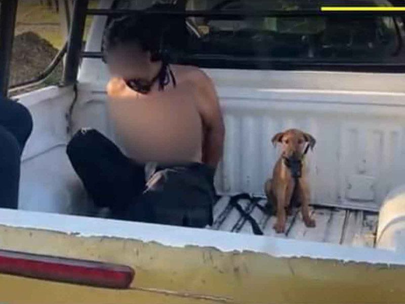 Perrito acompaña a su dueño hasta la cárcel tras ser detenido en Chiapas