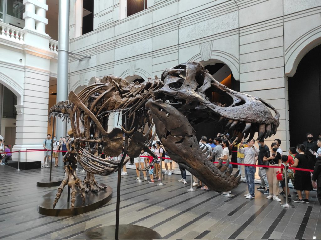 Tras polémica, cancelan subasta de un esqueleto de Tyrannosaurus rex