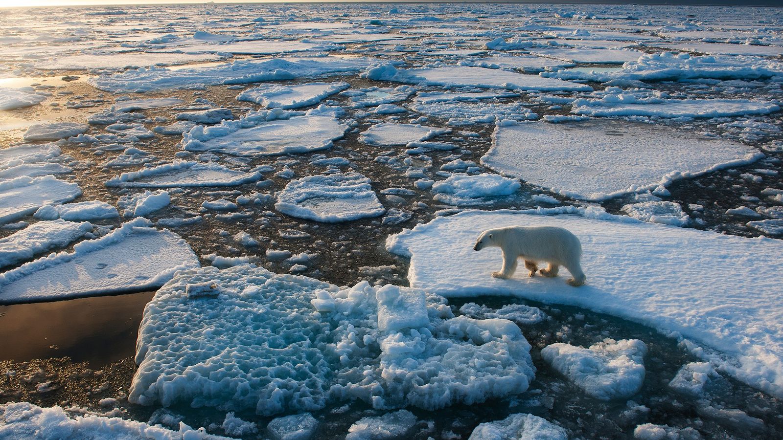 "Solidaridad" climática o "suicidio colectivo", propone la ONU ante el cambio climático