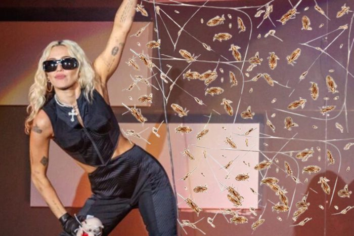 Alertan sobre supuesto brote de piojos durante concierto de Miley Cyrus en el Corona Capital