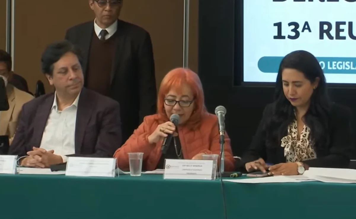 Para “reafirmar la autonomía de la CNDH”: Rosario Piedra sobre controversia contra el INE