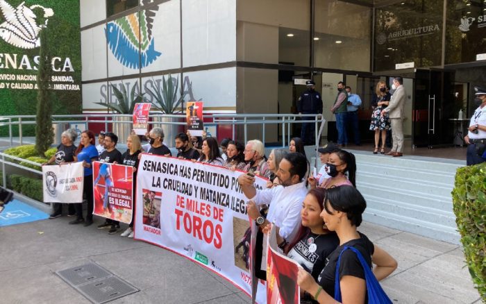 Organizaciones y activistas protestan en la Senasica contra las corridas de toros