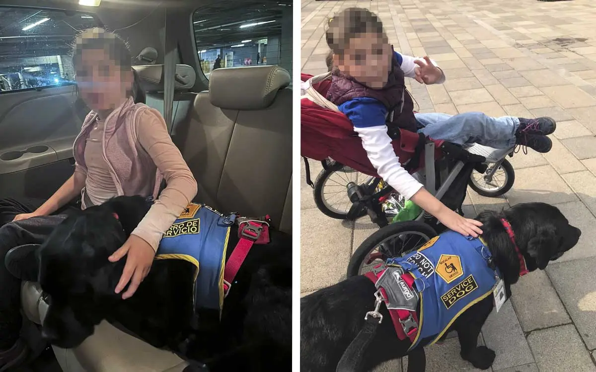 Desalojan de plaza comercial en CDMX a niña con mascota de apoyo