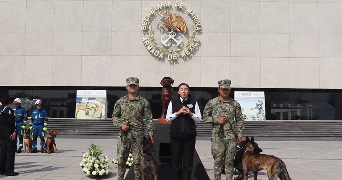 “¡Hasta la próxima misión!”: Semar rinde homenaje a la perrita rescatista Frida