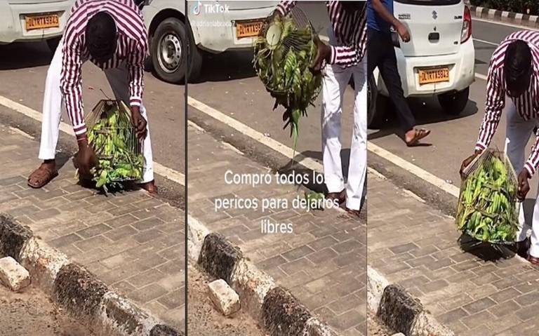 Hombre compra jaula llena de pericos para dejarlos en libertad #VIDEO