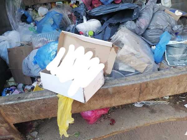 Abandonan el cadáver de feto en un camión de basura en Nayarit