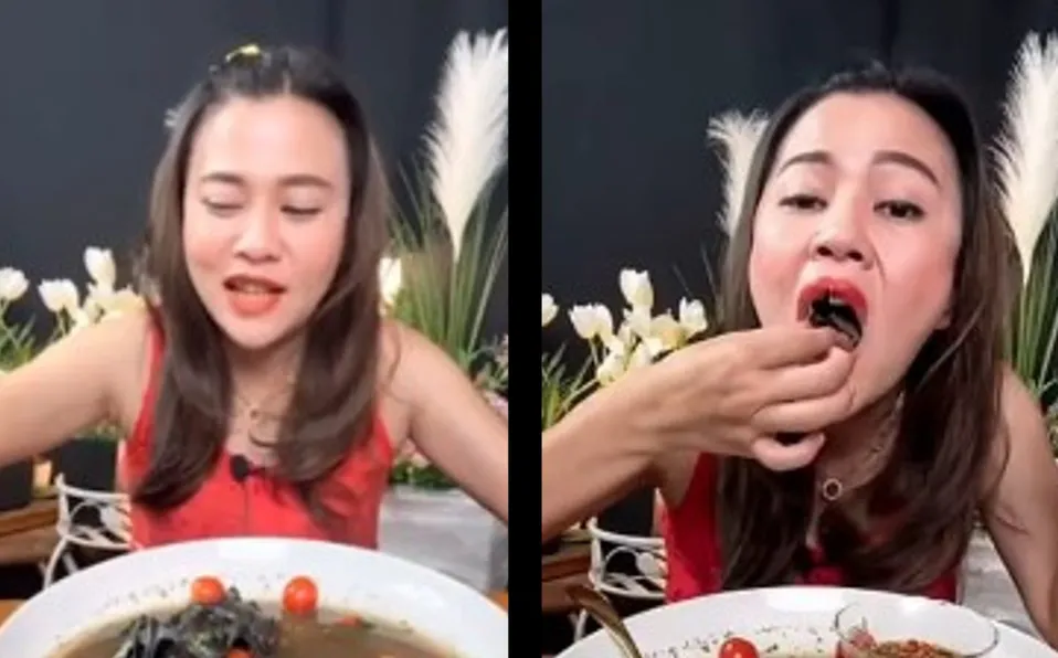 Detienen a youtuber tailandesa por comerse un murciélago en sopa