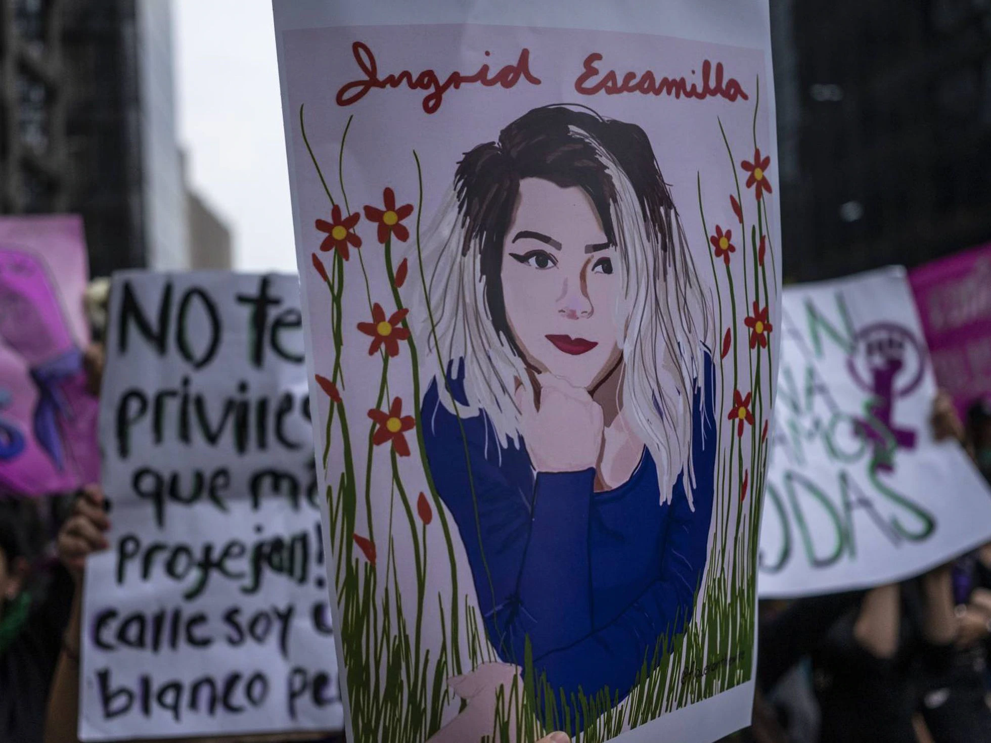 Avanza en el Senado la Ley Ingrid; prohíbe difundir imágenes de víctimas de violencia