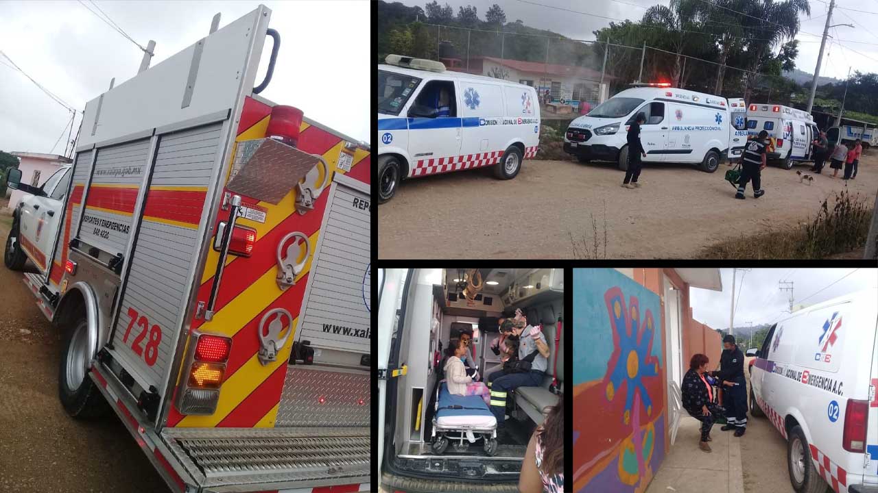 Abejas atacan a alumnos y maestros de una primaria en Veracruz