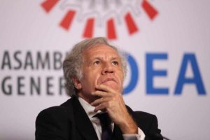 OEA lanza investigación contra Luis Almagro por “falta de ética”