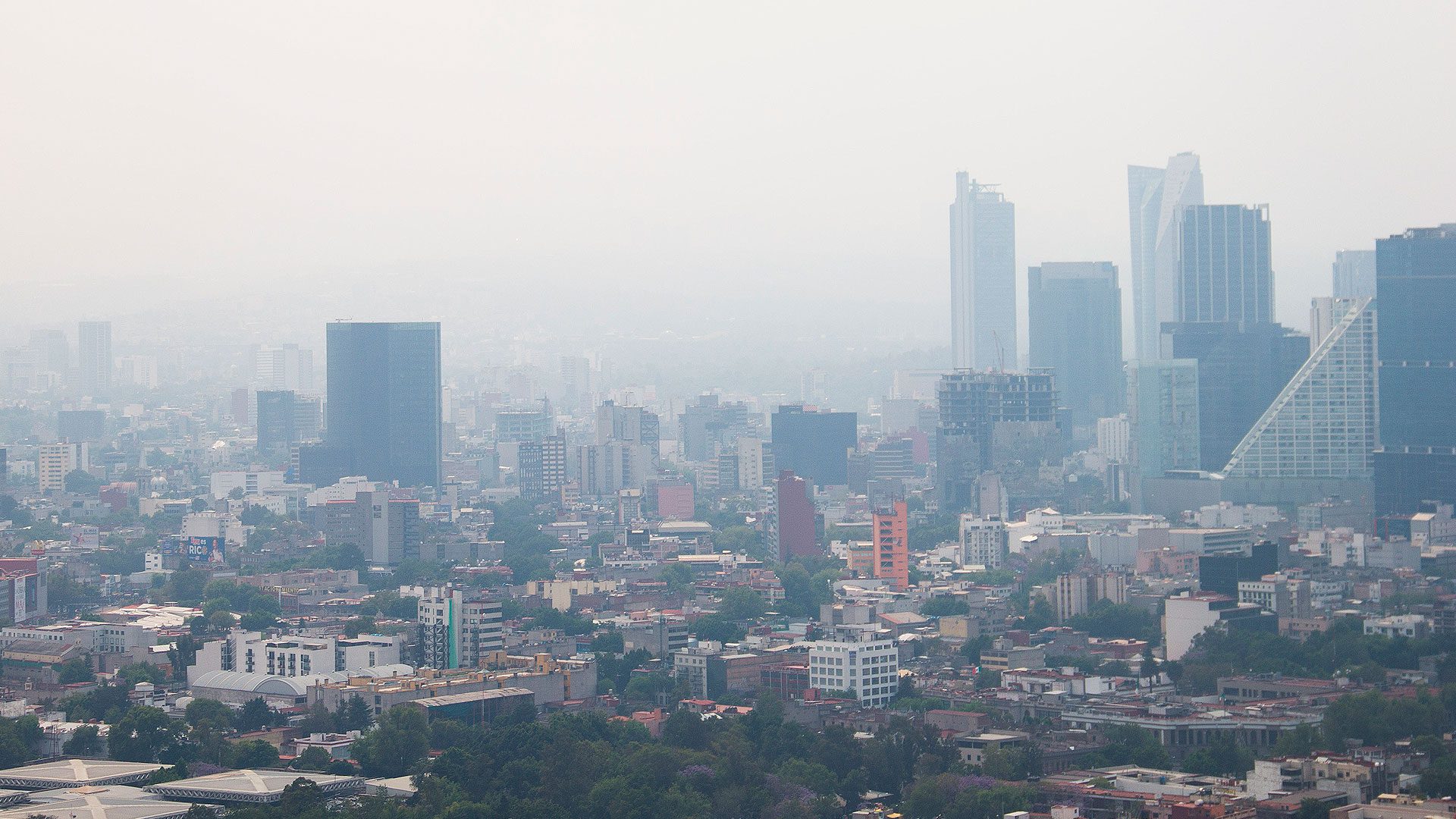 Suspenden Fase 1 de contingencia ambiental Valle de México y Doble Hoy No Circula