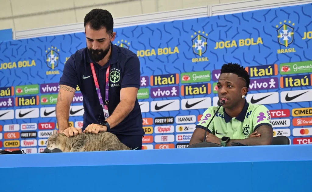 Gato interrumpe rueda de prensa de Vinicius Jr #VIDEO