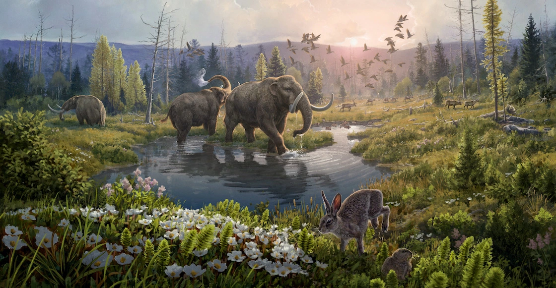 Descubren mundo perdido en Groenlandia gracias a ADN antiguo