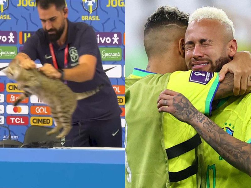 ¡La maldición del michi! Lluvia de memes por la eliminación de Brasil de Qatar 2022