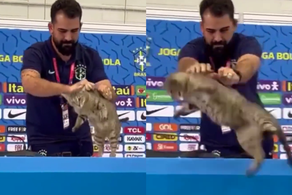 Confederación Brasileña de Futbol es multada tras suceso con gato en el Mundial