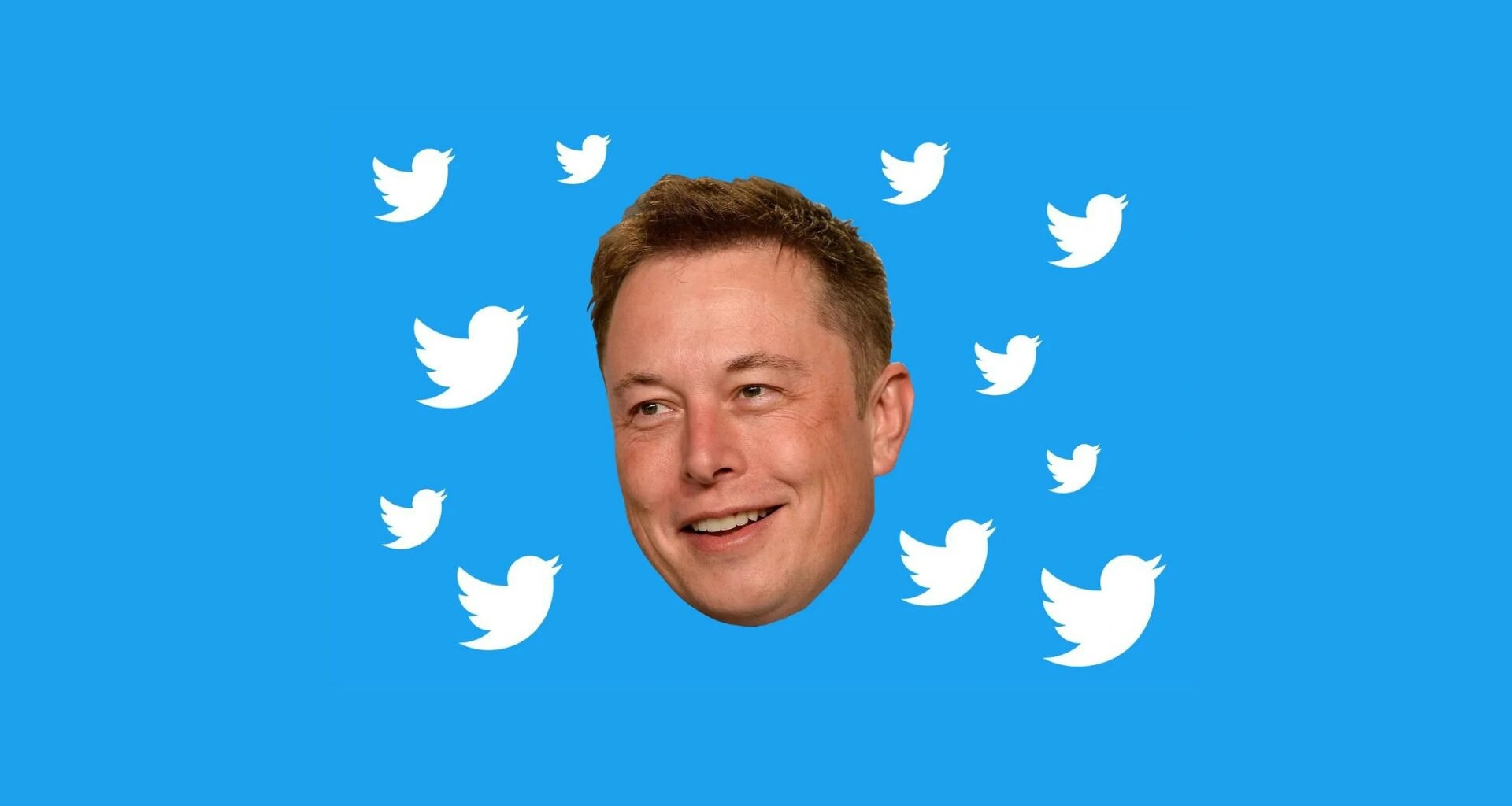 Elon Musk ya estaría buscando un nuevo CEO para Twitter, afirman medios