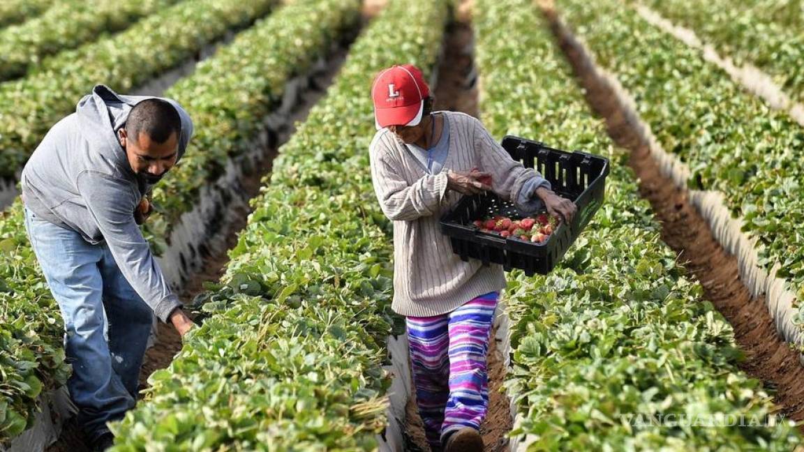 Actividad económica de México creció 4.8% en octubre: INEGI