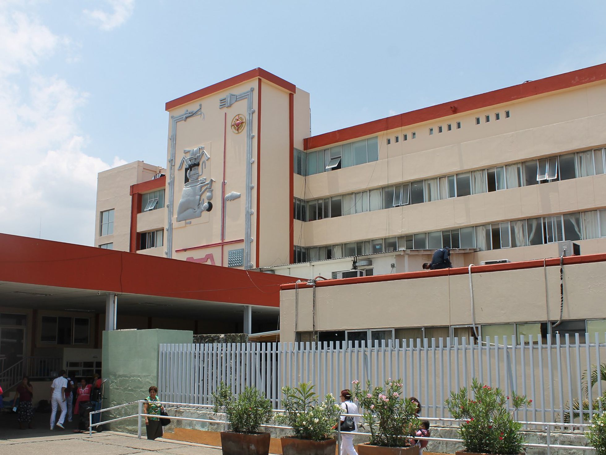 Graves los menores mordidos por un murciélago en Oaxaca, pero aún no se confirma rabia