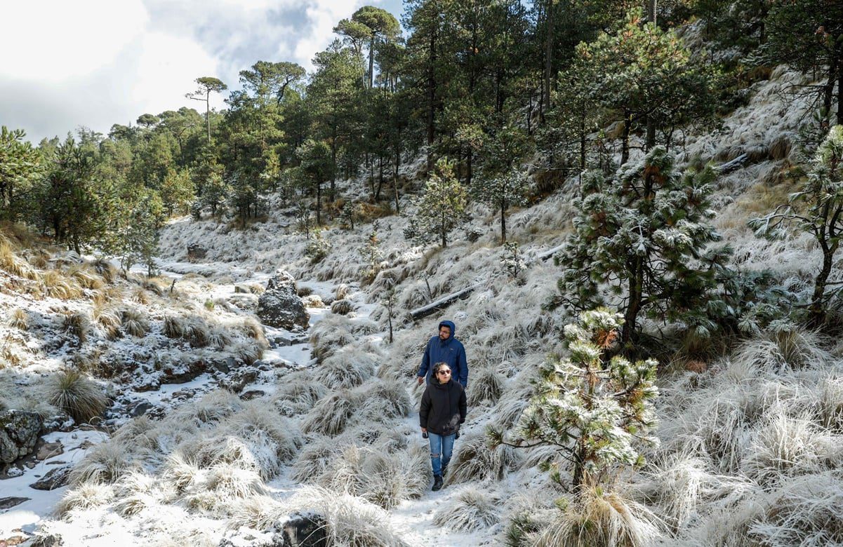 Localizan a 12 personas extraviadas en el Ajusco; fueron a ver la nieve