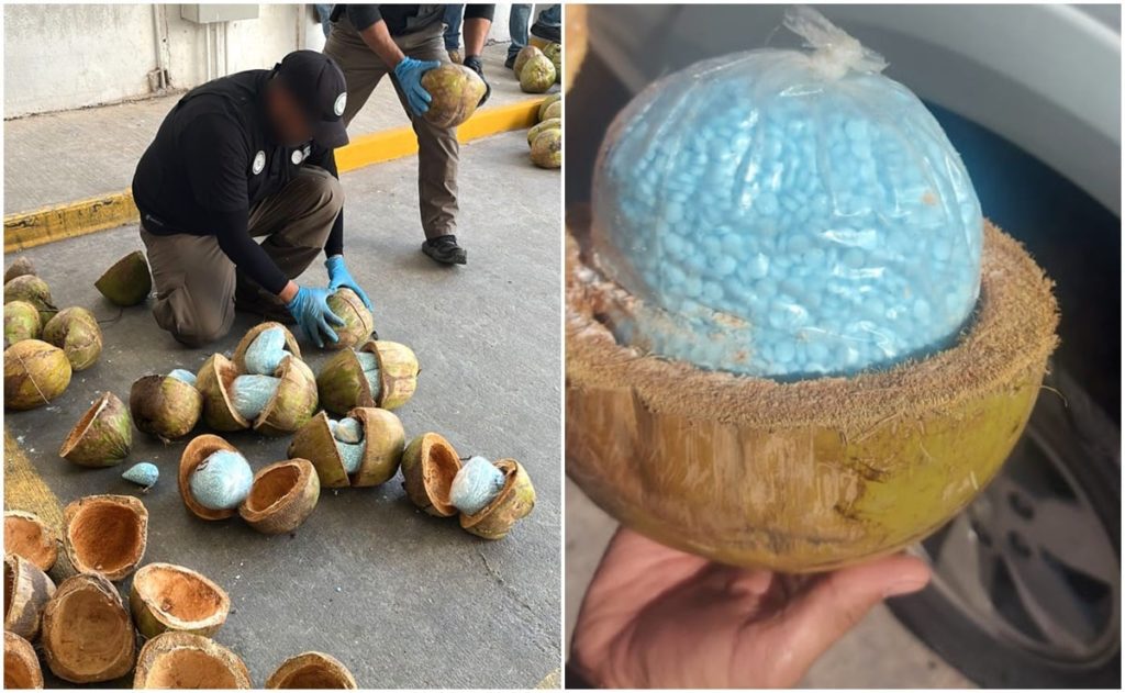 A proceso pareja que intentó traficar 3.1 millones de pastillas de fentanilo en cocos