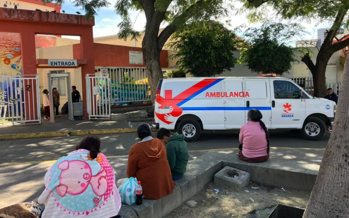 Da negativo a rabia niño que falleció por mordida de murciélago en Oaxaca