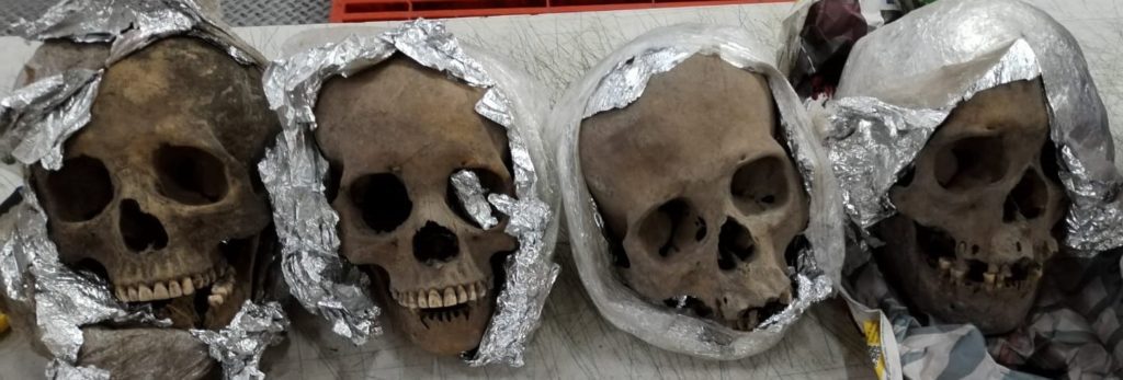 GN asegura cuatro cráneos humanos en el aeropuerto de Querétaro