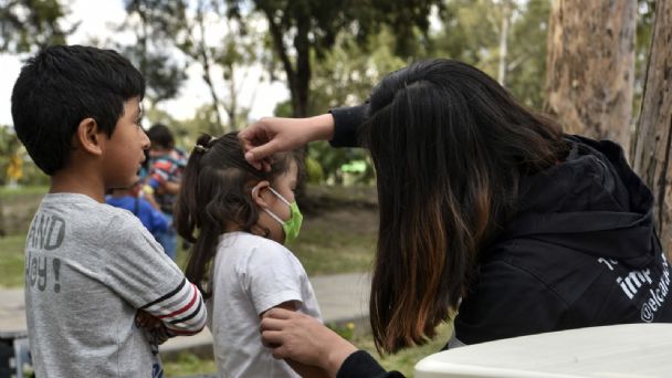 Secretaría de Salud emite aviso epidemiológico tras casos de rabia en México