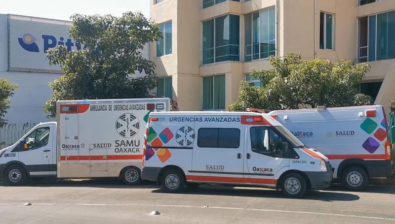 Confirman contagio de rabia en menores mordidos por un murciélago en Oaxaca