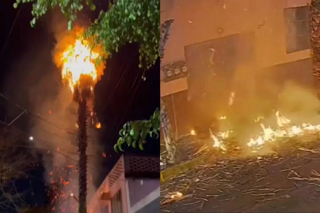 Una palmera se incendió en Azcapotzalco por la chispa de un cohete #VIDEO