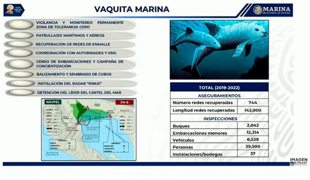 Marina anuncia que desarticuló el 'Cártel de la Totoaba' en el Golfo de California