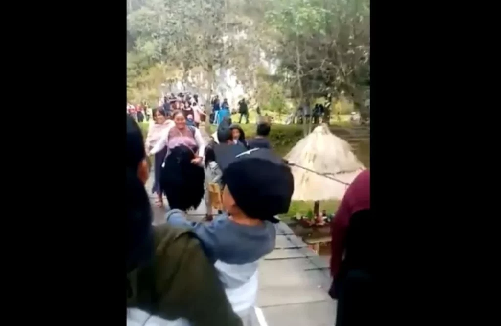 Colapsa puente colgante en parque de San Cristóbal de las Casas #VIDEO
