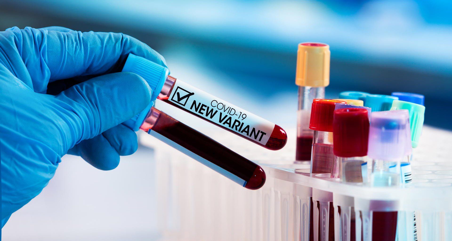 OMS alerta aumento de contagios se subvariante COVID 'kraken' en Europa y EU